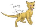 Tammy by InsaneProxy