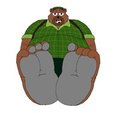 Tarson's Paws   by JanJohnsonGator