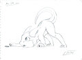 Shiny, Shiny!!! by LittleT