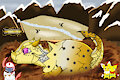 [O] - Yellow Star was born!