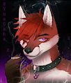 Asher Commission