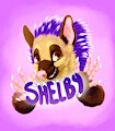 Shelby Badge