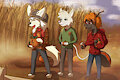 At the Pumpkin Patch