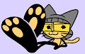 costacat feet