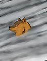 wolf by TsuyoshiTisuki