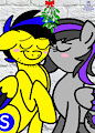 ViolaSeb under the mistletoe
