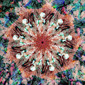 STP Screen Transfer Process - 617 - WDVMM - 988 - Heartbone Mandala 1 06