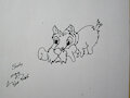New Submission Scotty by blindrabbit