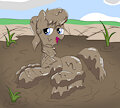 Ms. Harshwhinny muddy time off