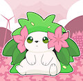 🌸 シェイミ 🌸