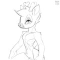 2021-11-29 by xylas