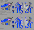 Doran Eirok anthro refsheet 2021