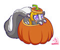 Pumpkin peek!