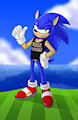 Sonic Says...