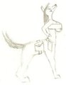 Taur practice by xolroc