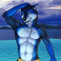 Evening Dip in Paradise