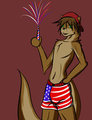 Happy 4th 