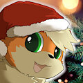 Ashe Christmas Hat