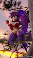 Kiki Sunset