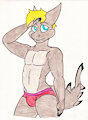 Swimmer