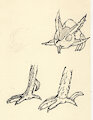doodle page thing