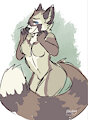 Coonstance