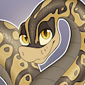 Tyler headshot