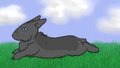 Bunny Wallpaper by vinzydesign