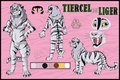 Tiercel liger ref