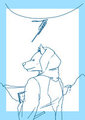 (Sketch) History - cover
