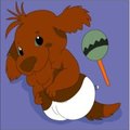 arineu the cute dog