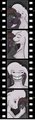 PhotoStrip by JynxKitten