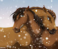 Stay warm by Swag2Dragon