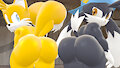 Tails and Klonoa bubble butts by Skulltronprime969