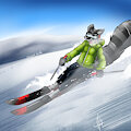 ski raccoon