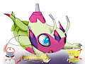 Celebi-Venicro
