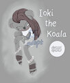 [ADOPT] Ioki the Koala