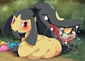 mawile