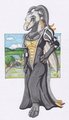 The Lady Shanie by jesslyra