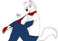 Yoko the Wolf by WolfLady