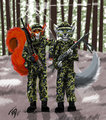 Danish Warriors