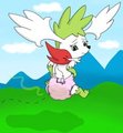 Sky Shaymin Weighed Down by HydroFTT