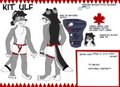 Kit Ulf (Clean Version)