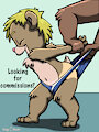 *Commission Info.*