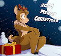 Xmas 2021
