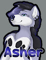 Asher Badge