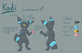 Kodi Ref Sheet