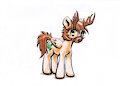Reindeer