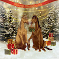 Merry Christmas !