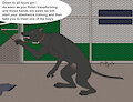 New kennel dog by Mearcu
